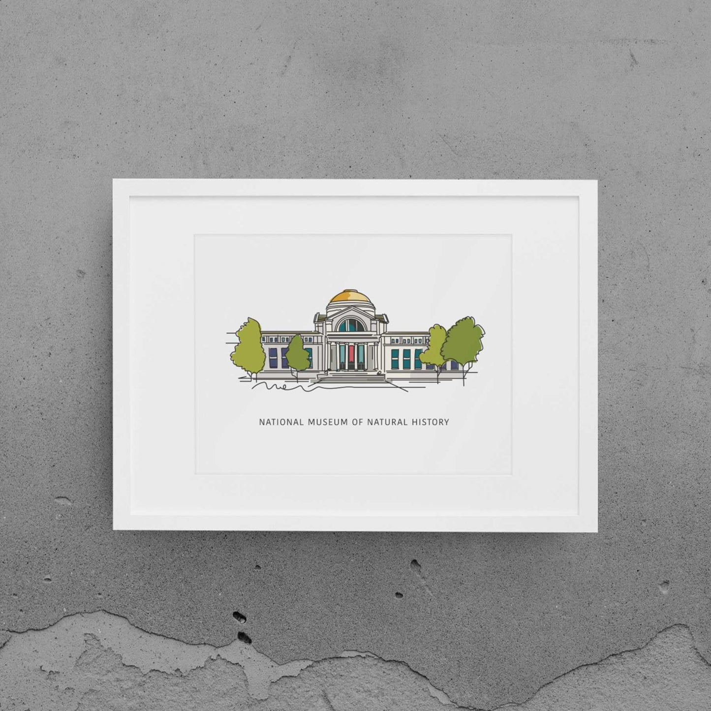 National Museum of Natural History | Washington D.C. Landmark Series
