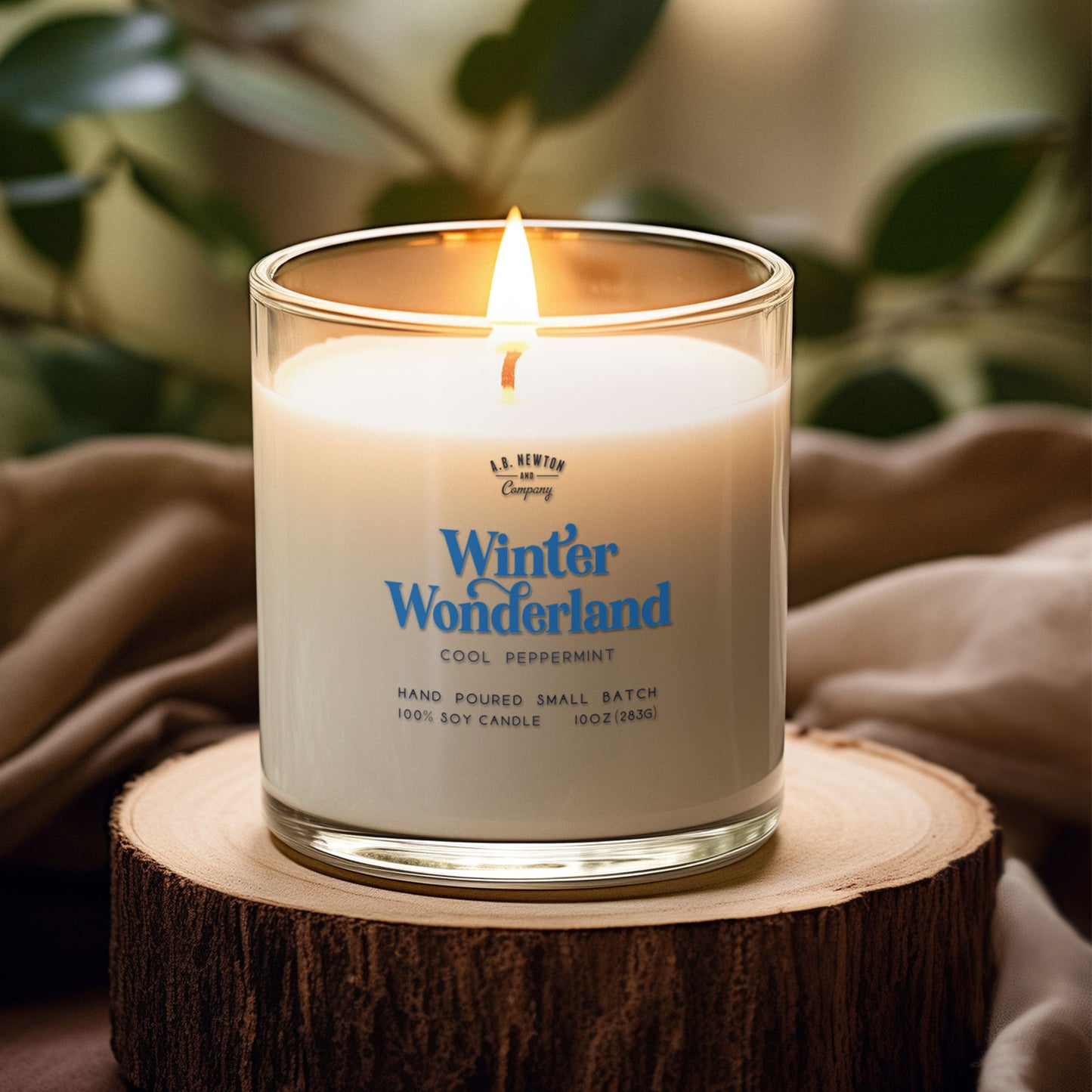 Winter Wonderland | 10oz Soy Candle | Holiday Candle - A. B. Newton and Company