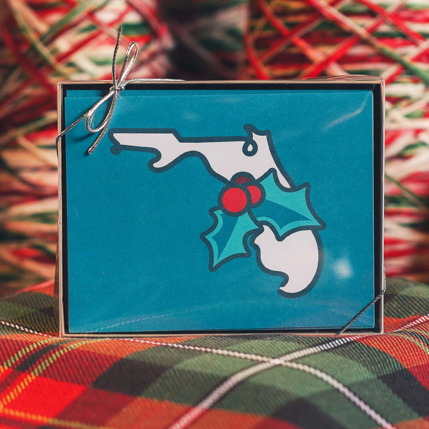 Christmas Florida Local Holiday Cards | 2023 Christmas Cards