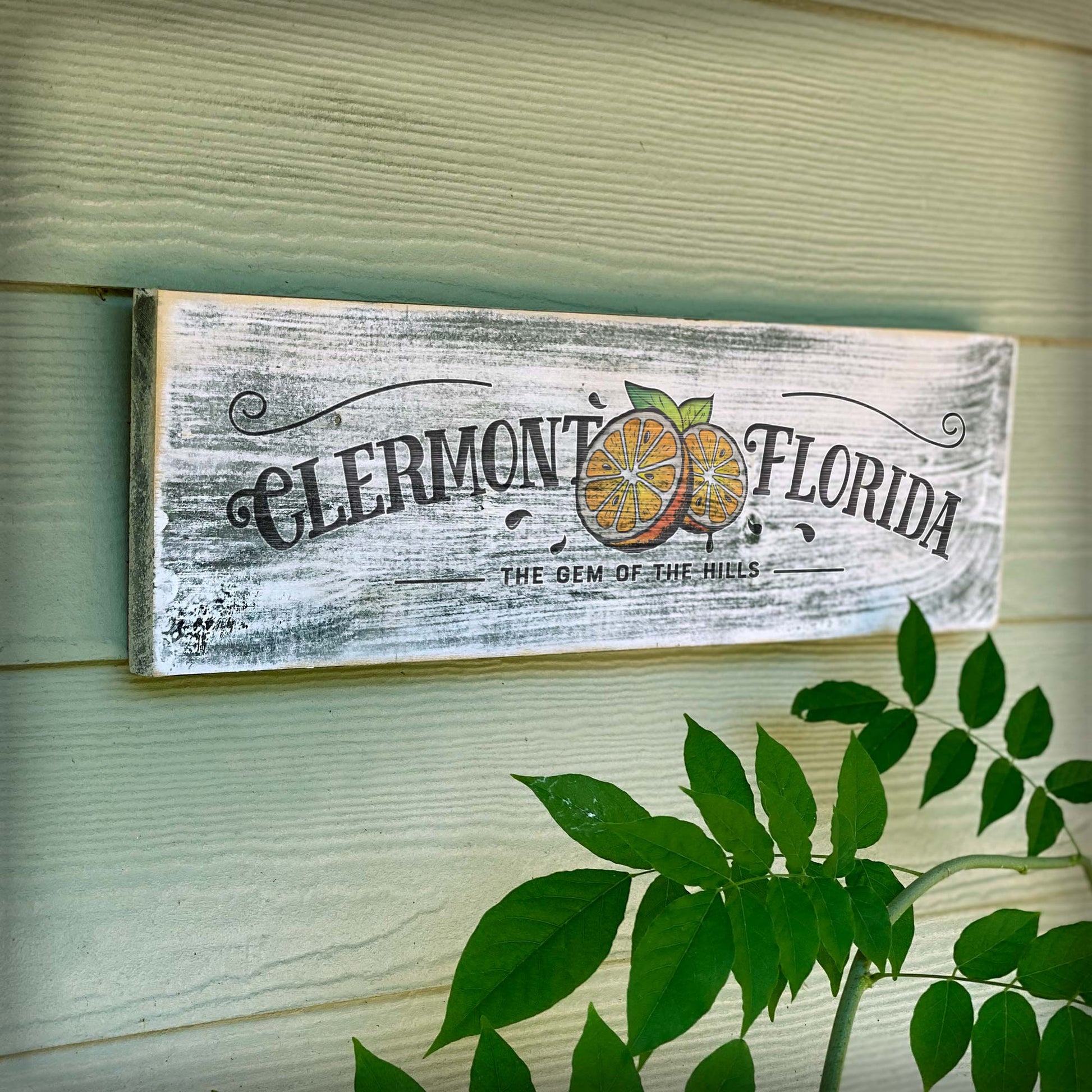 Clermont FL Citrus Capital - Handcrafted Artisan Wood Sign - A. B. Newton and Company