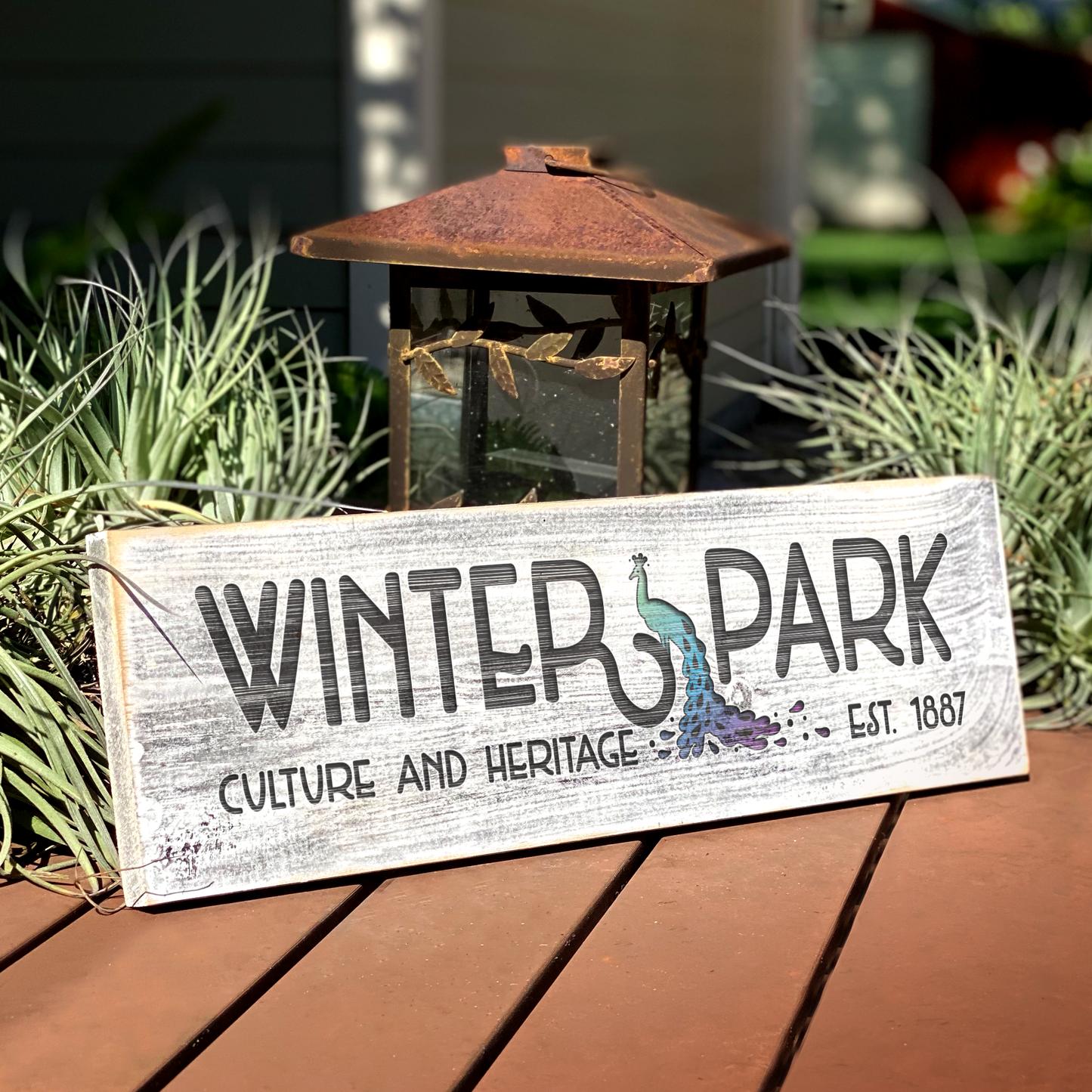 Winter Park Peacock - Handcrafted Artisan Wood Sign