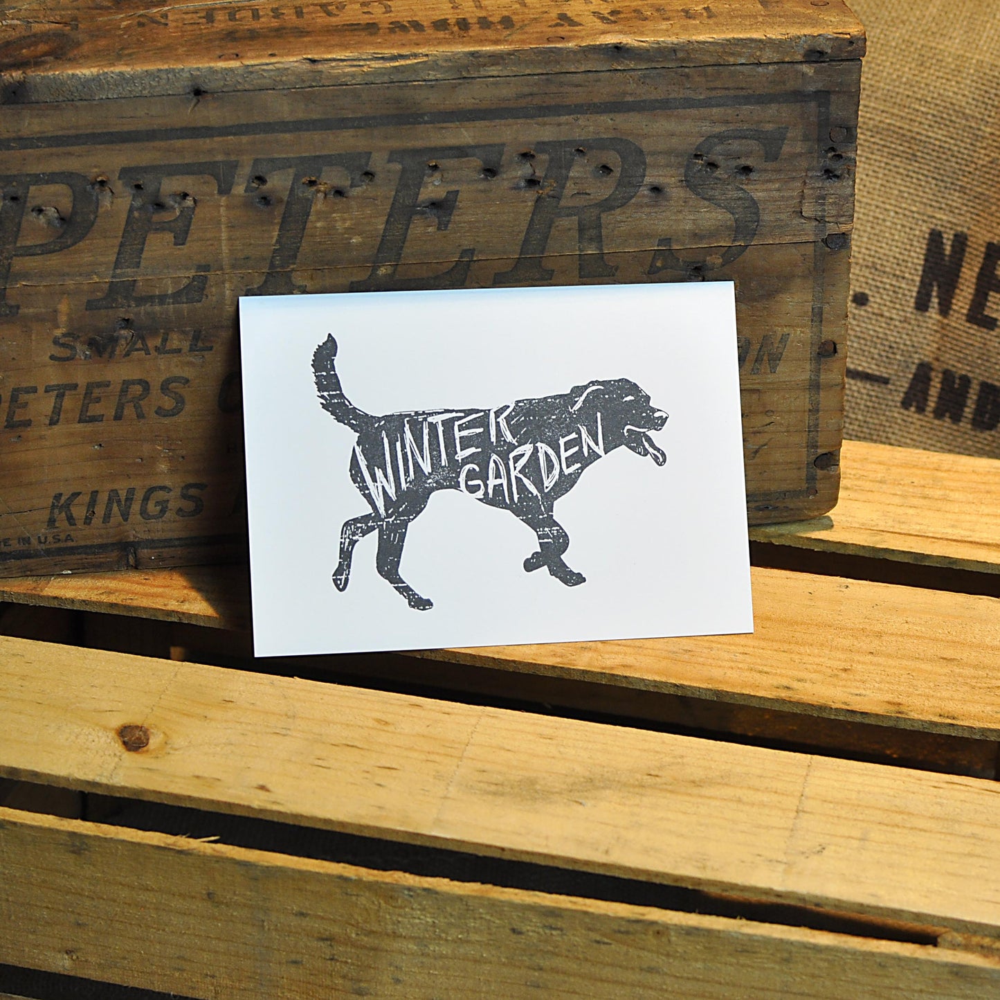 Winter Garden Black Lab Print - 5x7- Collectible Stationery - A. B. Newton and Company