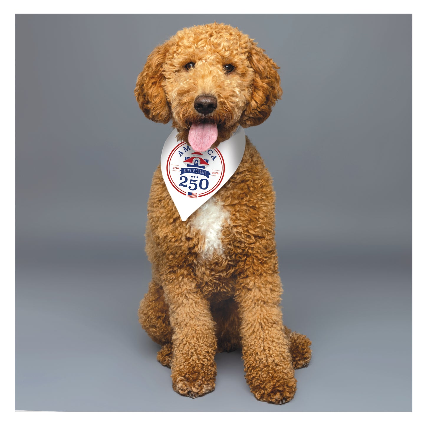 America 250th Inspired Dog Bandana