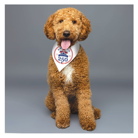America 250th Inspired Dog Bandana