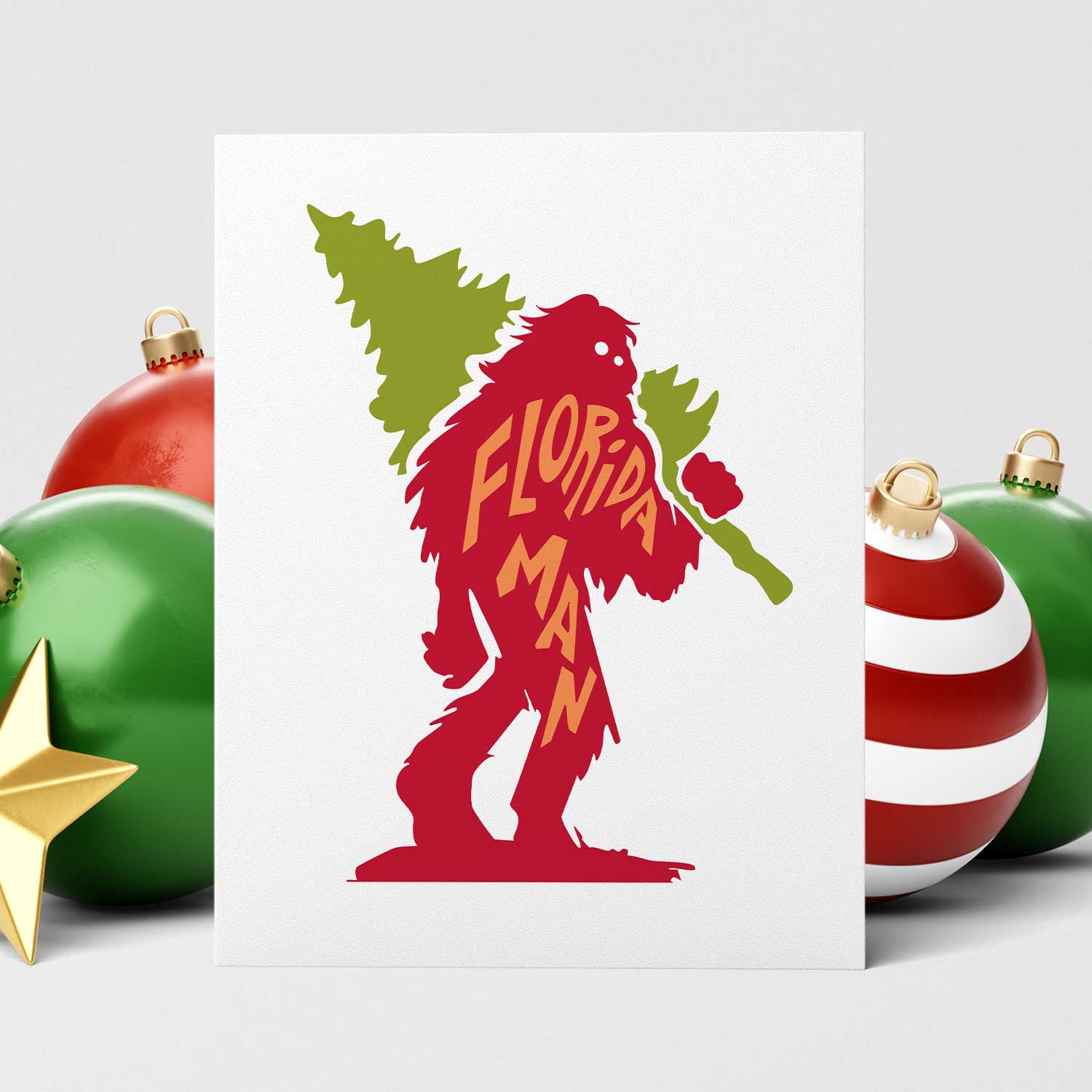 Florida Man | Christmas Cards - A. B. Newton and Company