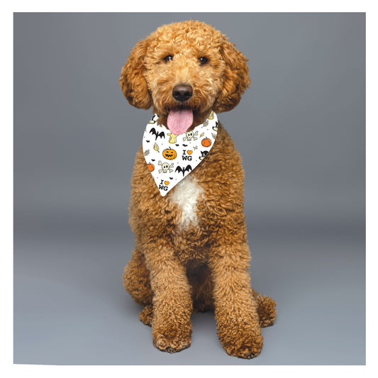 Harvest Pattern | Halloween Inspired Dog Bandana