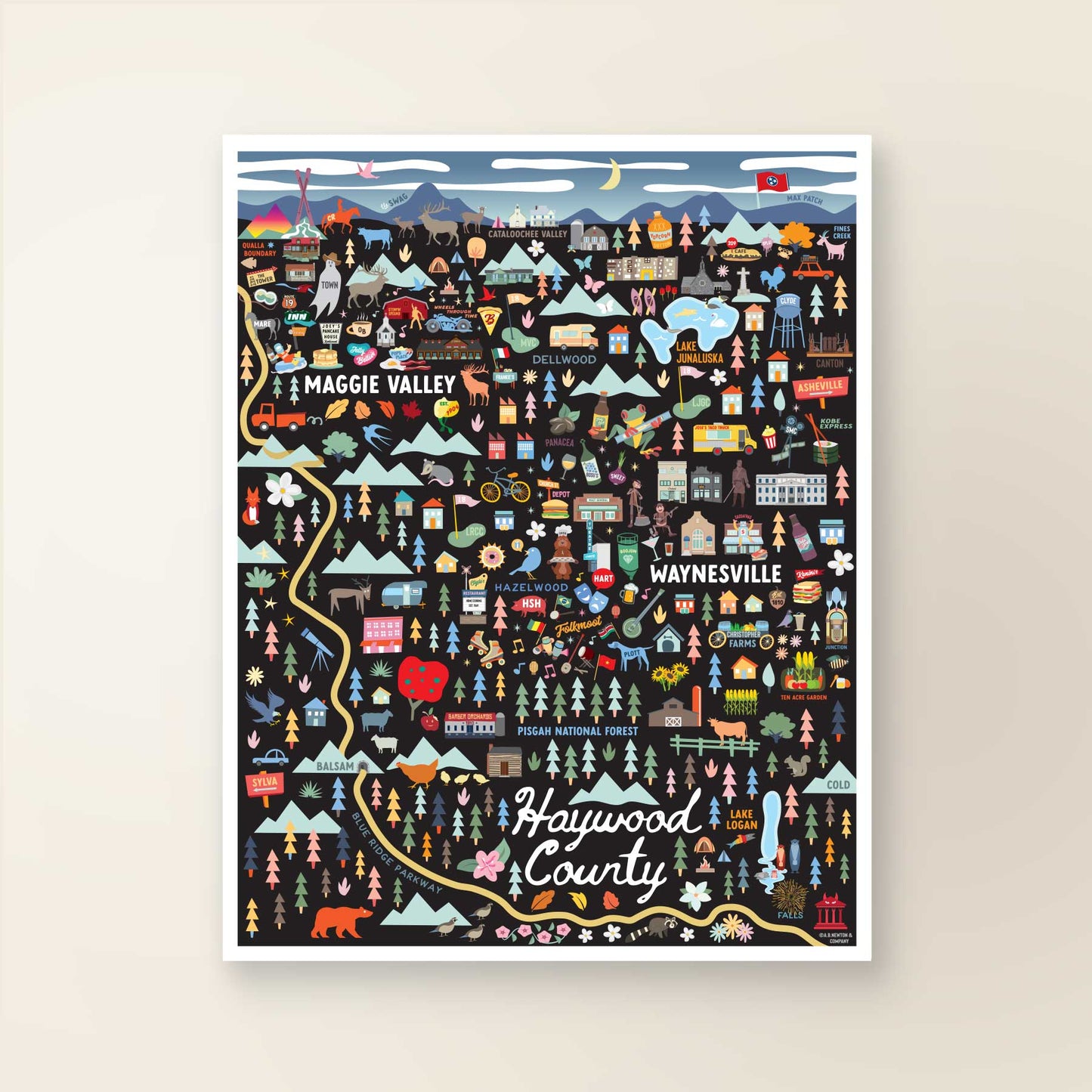 HAYWOOD COUNTY, NC | City Series Map Art Print
