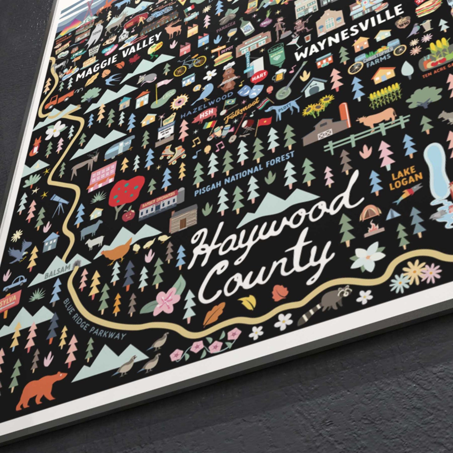 HAYWOOD COUNTY, NC | City Series Map Art Print