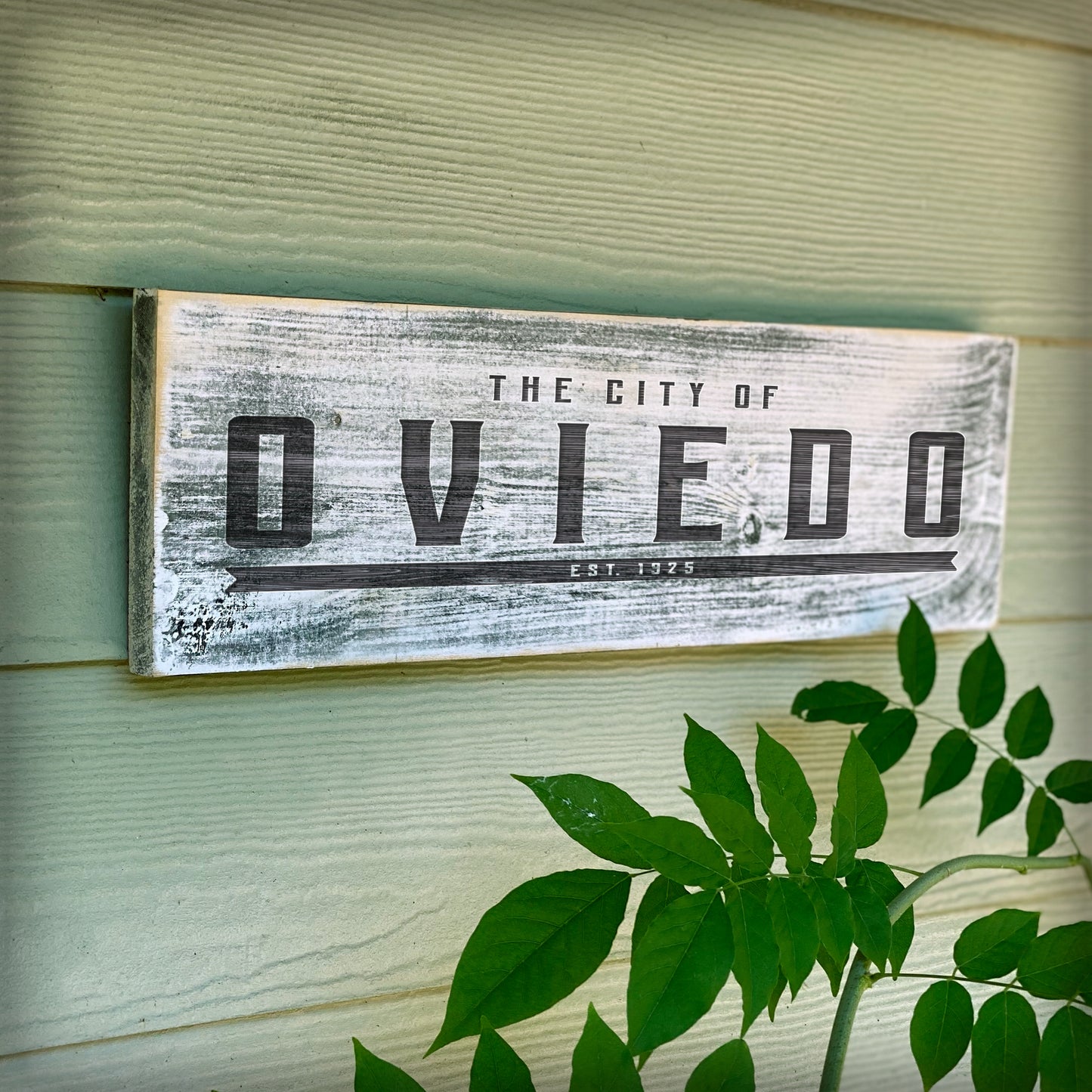 Oviedo FL The City Beautiful - Handcrafted Artisan Wood Sign