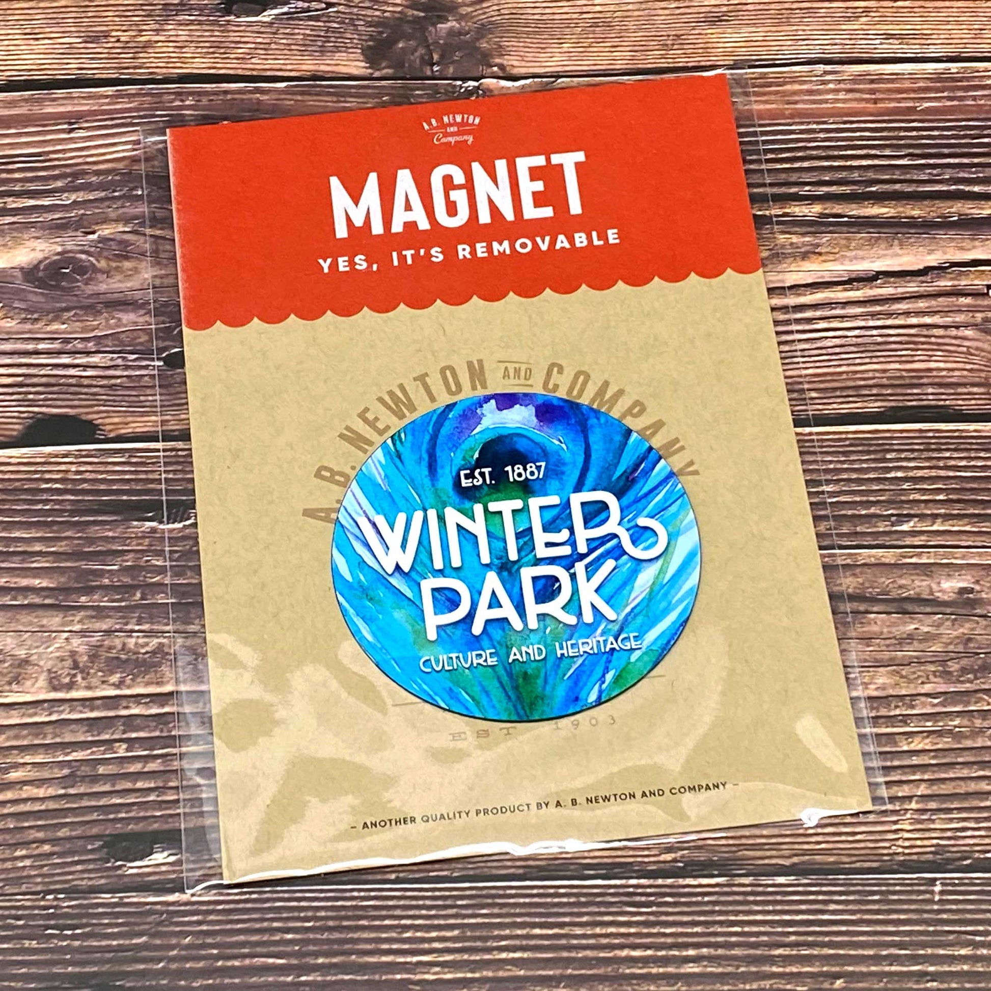 Winter Park Round Peacock Feather Magnet